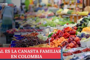 Cuál es la canasta familiar en Colombia