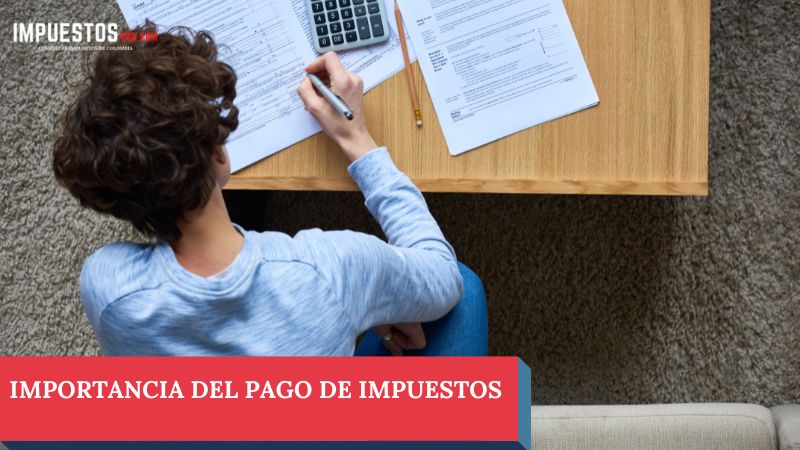Importancia del pago de impuestos